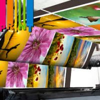 Vinyl Printing Services