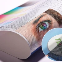 One Way Vision Printing Services